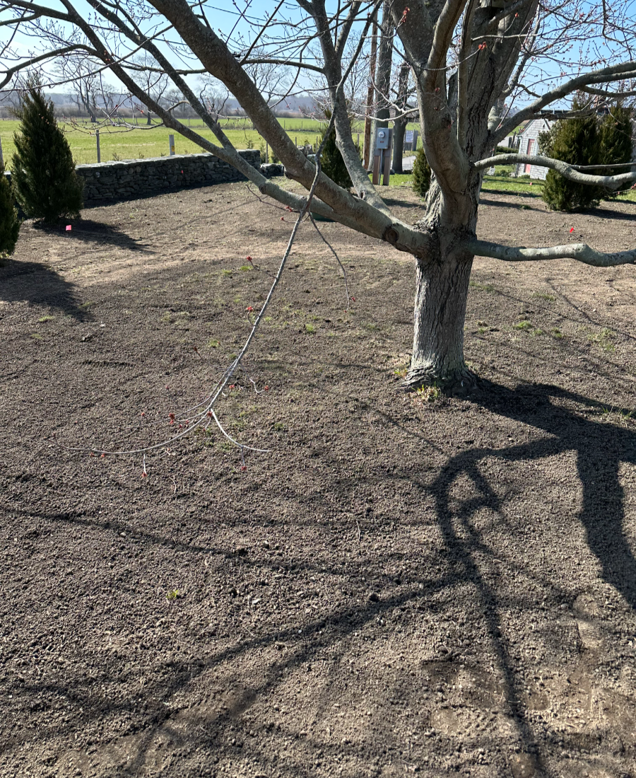 lawn install on new construction build-048