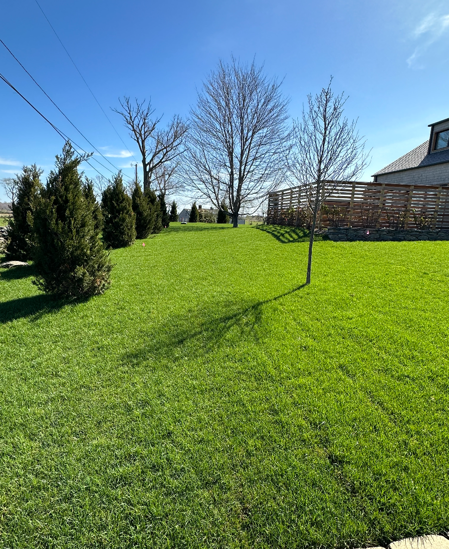 lawn install on new construction build-059