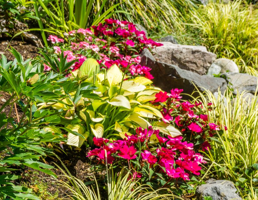 landscape plantings-000
