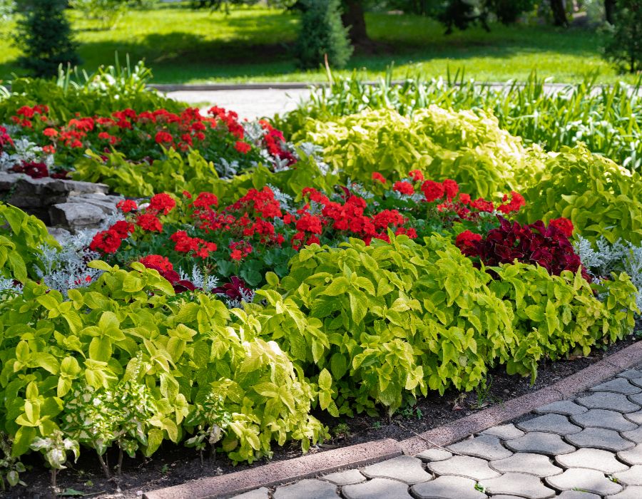 landscape plantings-001