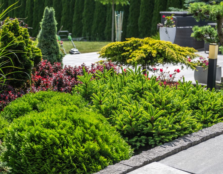 landscape plantings-002