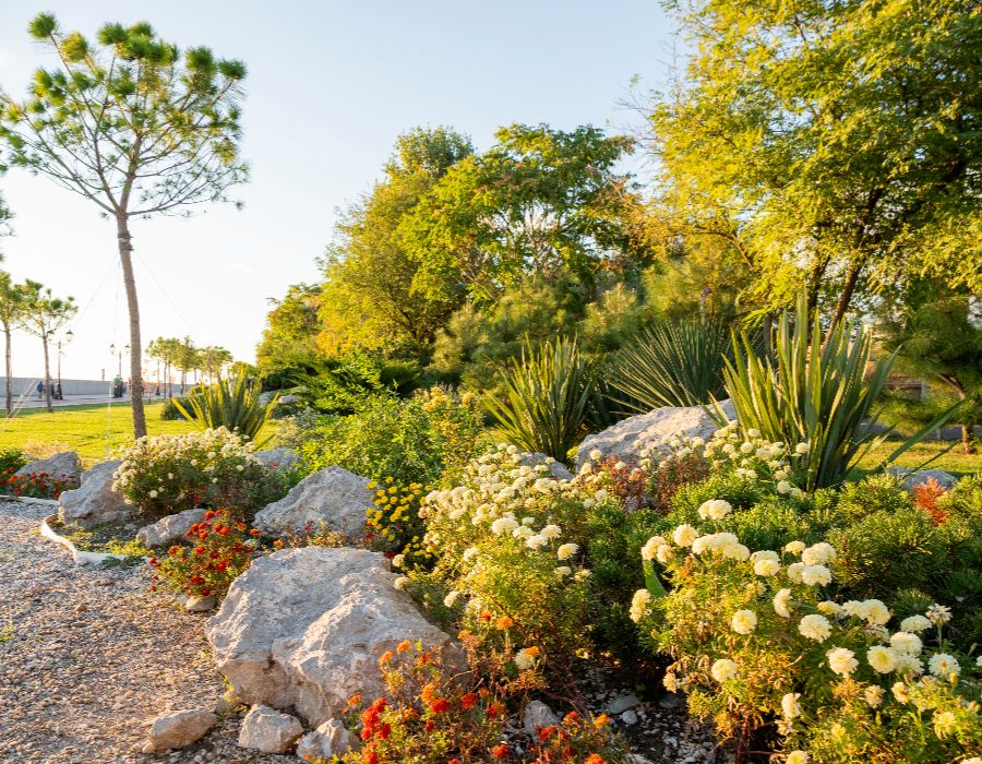 landscape plantings-003