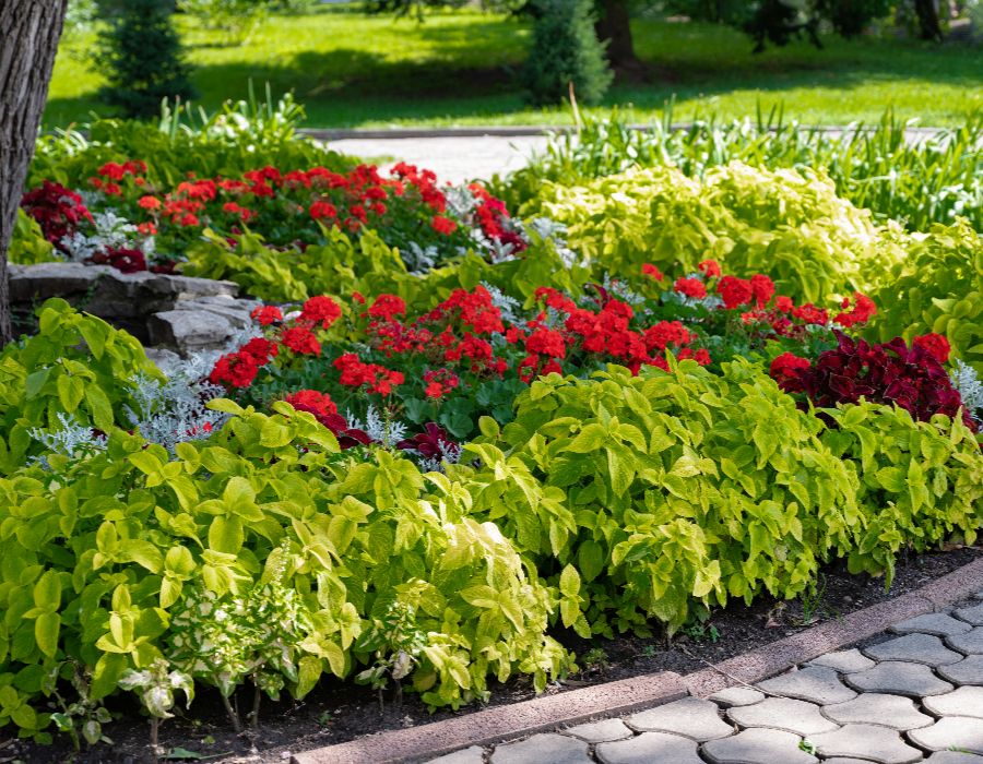 landscape plantings-005