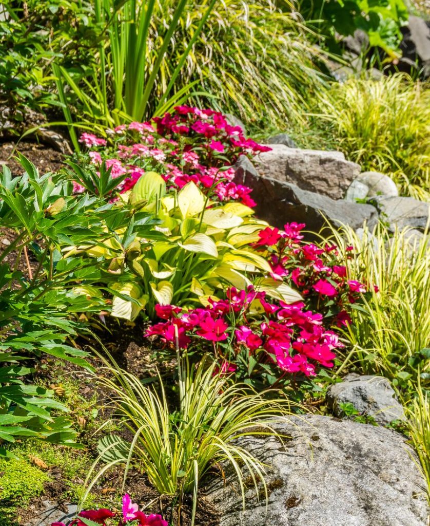 plantings 000